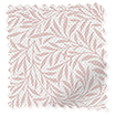 ColorizedSwatch William Morris Willow Blush Curtains sample image 6244