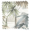 ColorizedSwatch Mountain Palm Dawn Curtains sample image 6478