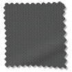 ColorizedSwatch  2816