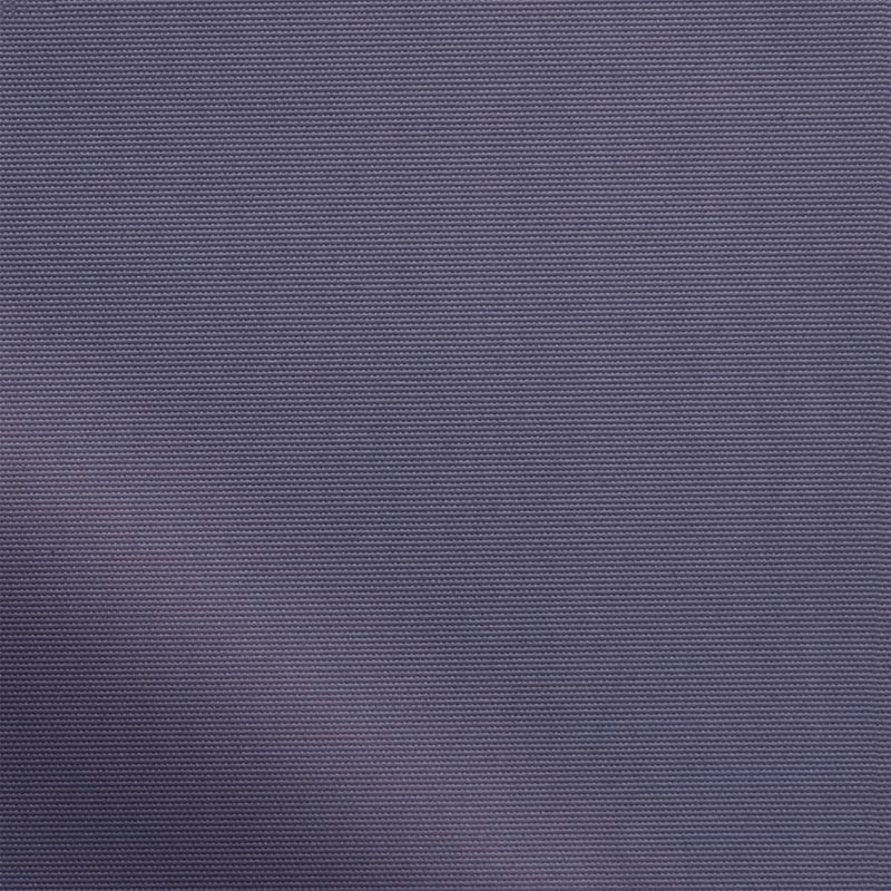 ColorizedZoom  3587
