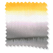 ColorizedSwatch  3811