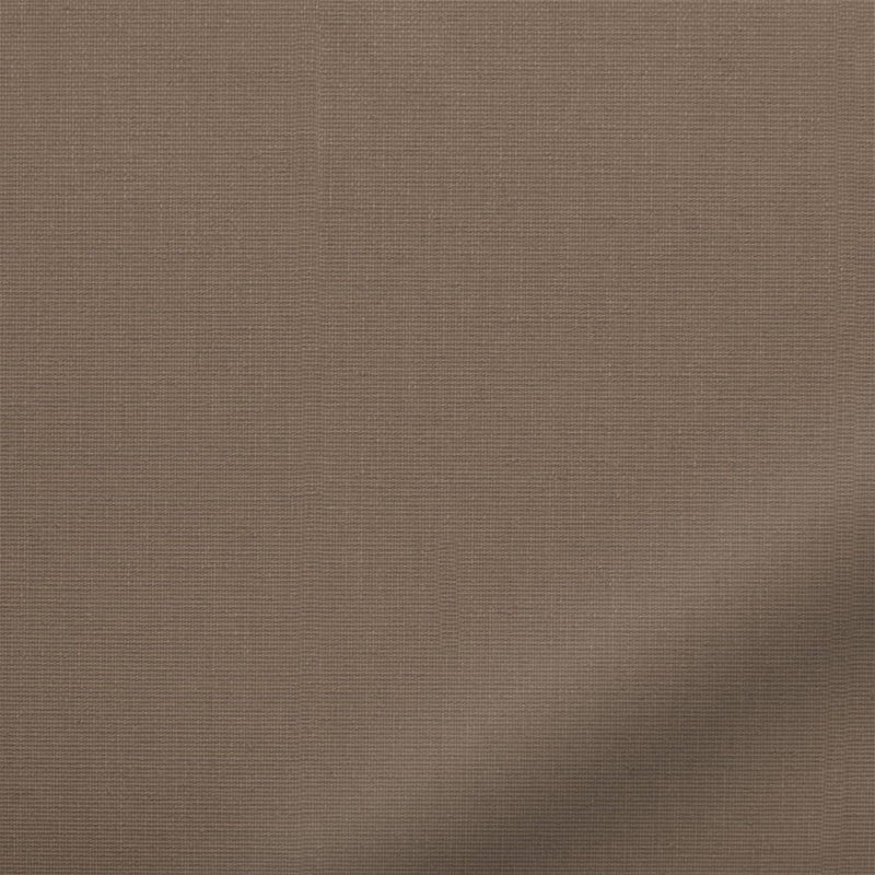 ColorizedZoom  4206