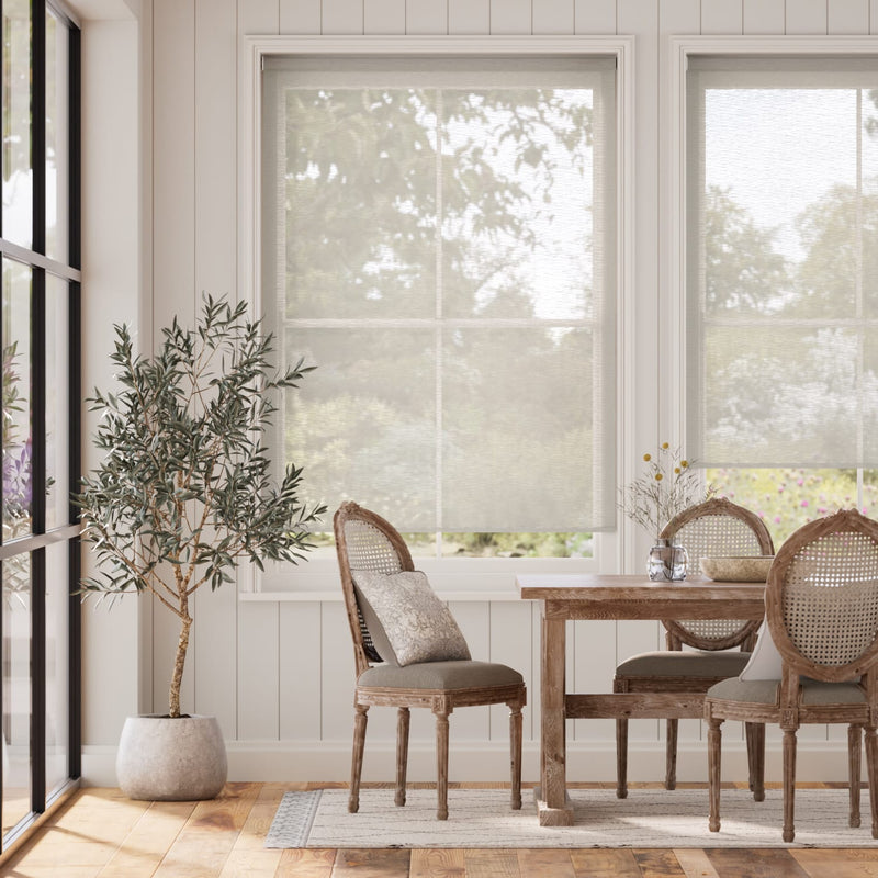 Colorized Electric Oriel Voile Ash Roller Blind 4849