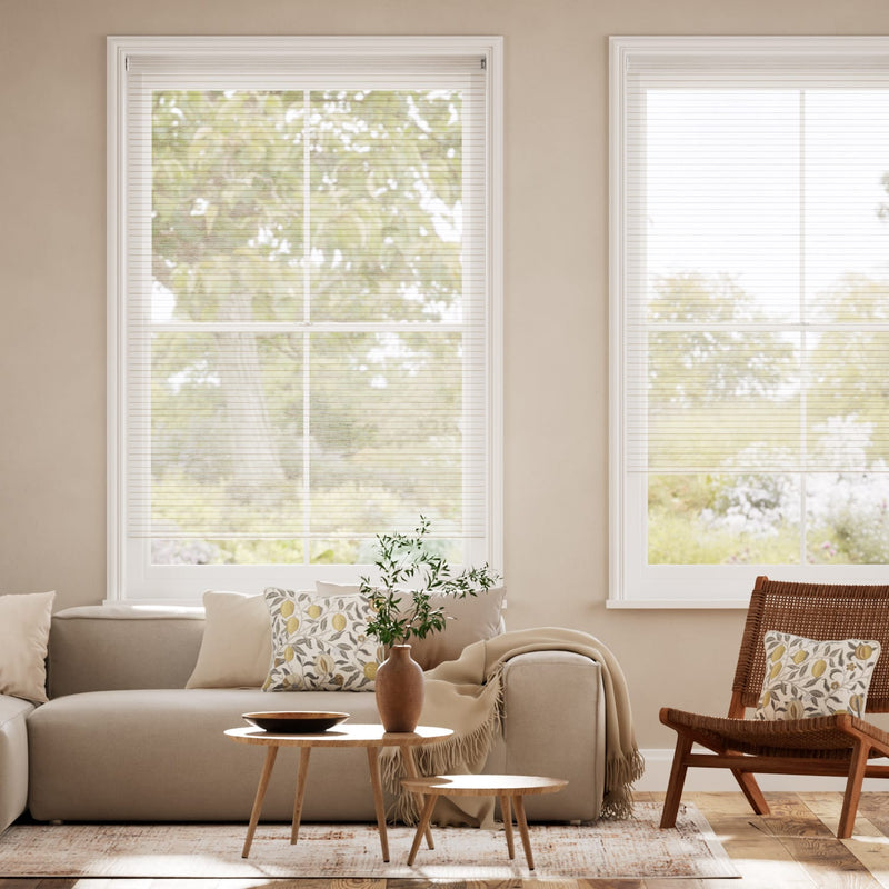 Colorized Electric Cicero Voile Biscotti Roller Blind 4851