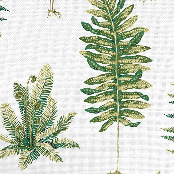 ColorizedPLA Fernery Fern Curtains 6566